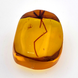 28,61ct Ambre avec insecte cabochon 33 x 27 x 18mm