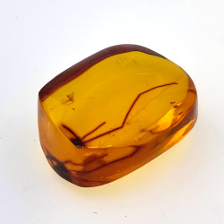 28,61ct Ámbar con insecto cabujón 33 x 27 x 18mm