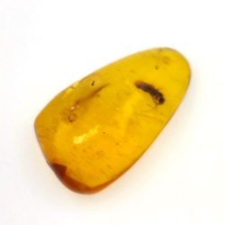 11,47 ct Amber with cabochon insect 30 x 17 x 8 mm