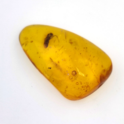 11,47 ct Amber with cabochon insect 30 x 17 x 8 mm