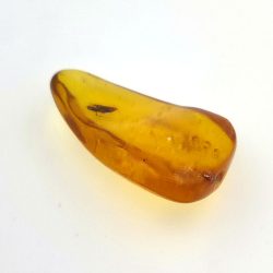 11,47 ct Amber with cabochon insect 30 x 17 x 8 mm