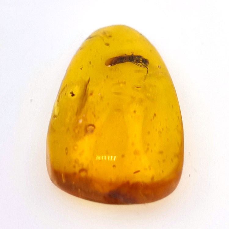 11,47 ct Ámbar con insecto cabujón 30 x 17 x 8 mm