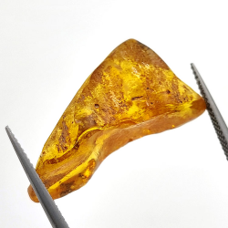 9,60 ct Ambre avec insecte cabochon 28 x 14 x 12 mm