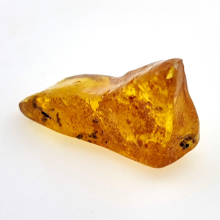 9,60 ct Bernstein mit Cabochon Insekt 28 x 14 x 12 mm