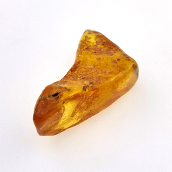 9,60 ct Ambra con insetto cabochon 28 x 14 x 12 mm