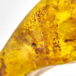 9.60 ct Amber with cabochon insect 28 x 14 x 12 mm