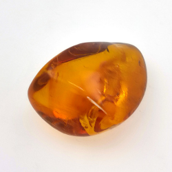 24,93 ct Ambra con insetto cabochon 29,7 x 20,3 x 16 mm