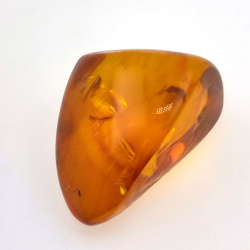 24.93 ct Amber with cabochon insect 29.7 x 20.3 x 16mm