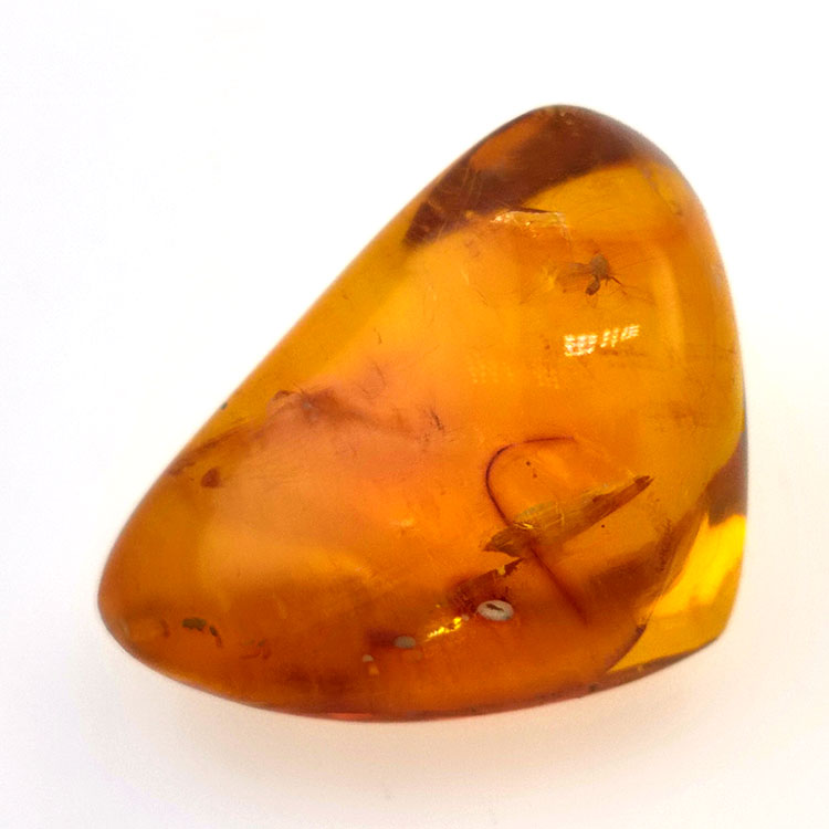 24,93 ct Bernstein mit Cabochon Insekt 29,7 x 20,3 x 16mm
