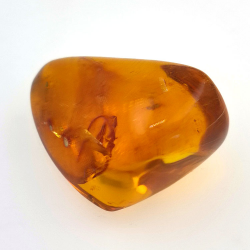 24,93 ct Ámbar con insecto cabujón 29,7x 20,3 x 16mm