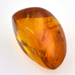 24.93 ct Ambre avec insecte cabochon 29.7 x 20.3 x 16mm
