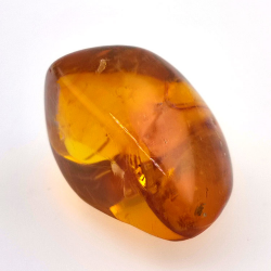 24,93 ct Bernstein mit Cabochon Insekt 29,7 x 20,3 x 16mm