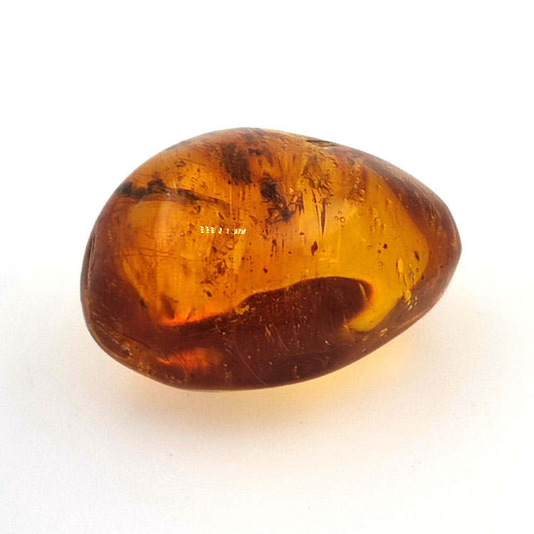 20 ct Ambre avec insecte cabochon 25,38 x 20 x 14,86 mm