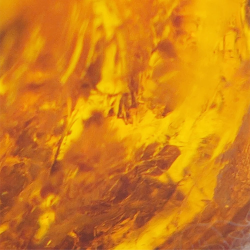 20 ct Amber with cabochon insect 25.38 x 20 x 14.86 mm