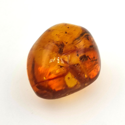 20 ct Bernstein mit Cabochon Insekt 25,38 x 20 x 14,86 mm