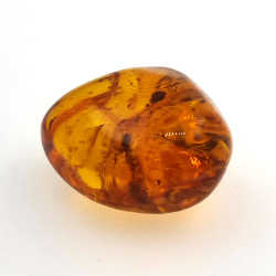 Ambra 20 ct con insetto cabochon 25,38 x 20 x 14,86 mm