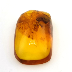 24,80 ct Bernstein mit Cabochon Insekt 36 x 20,61 x 9,72 mm