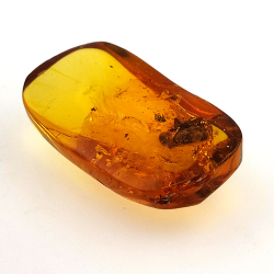 24,80 ct Ámbar con insecto cabujón 36 x 20,61 x 9,72 mm