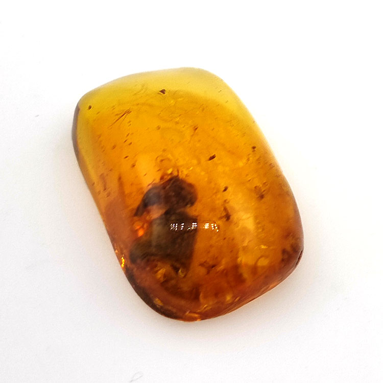 24,80 ct Ambre avec insecte cabochon 36 x 20,61 x 9,72 mm