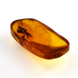 24,80 ct Ambre avec insecte cabochon 36 x 20,61 x 9,72 mm