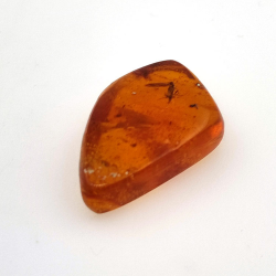 9,18 ct Ambre avec insecte cabochon 25,08 x 15,96 x 7,22 mm