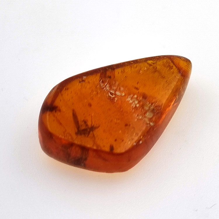 9,18 ct Bernstein mit Cabochon Insekt 25,08 x 15,96 x 7,22 mm