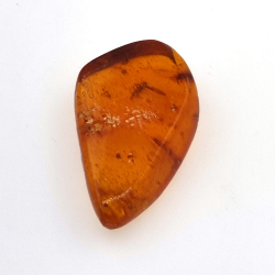 9,18 ct Ambre avec insecte cabochon 25,08 x 15,96 x 7,22 mm