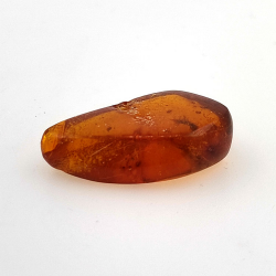 9,18 ct Bernstein mit Cabochon Insekt 25,08 x 15,96 x 7,22 mm