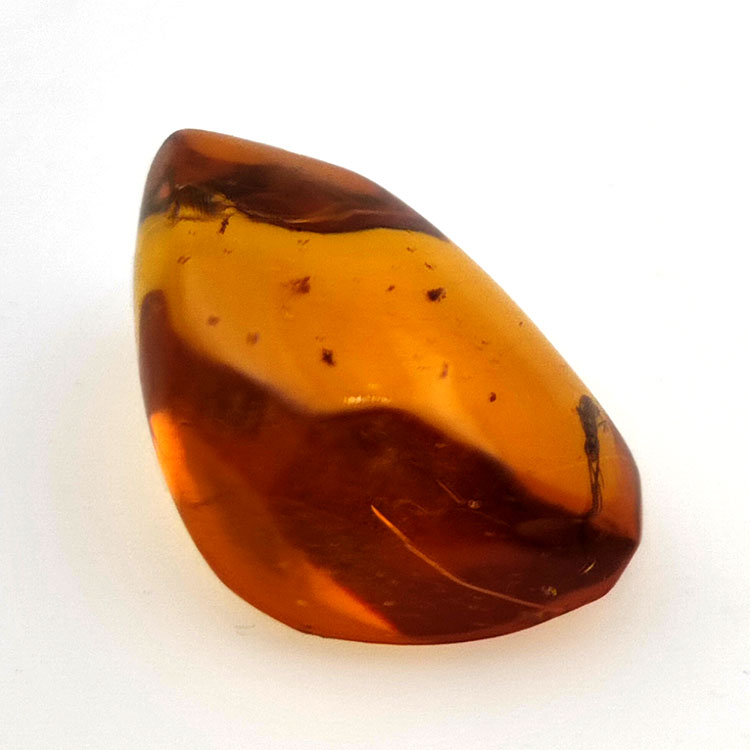 10,37 ct Ámbar con insecto cabujón 24,85 x 15,08 x 10,21 mm