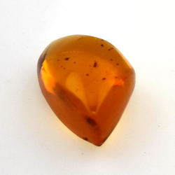 10,37 ct Bernstein mit Cabochon Insekt 24,85 x 15,08 x 10,21 mm