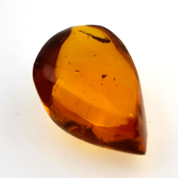 10,37 ct Ambra con insetto cabochon 24,85 x 15,08 x 10,21 mm