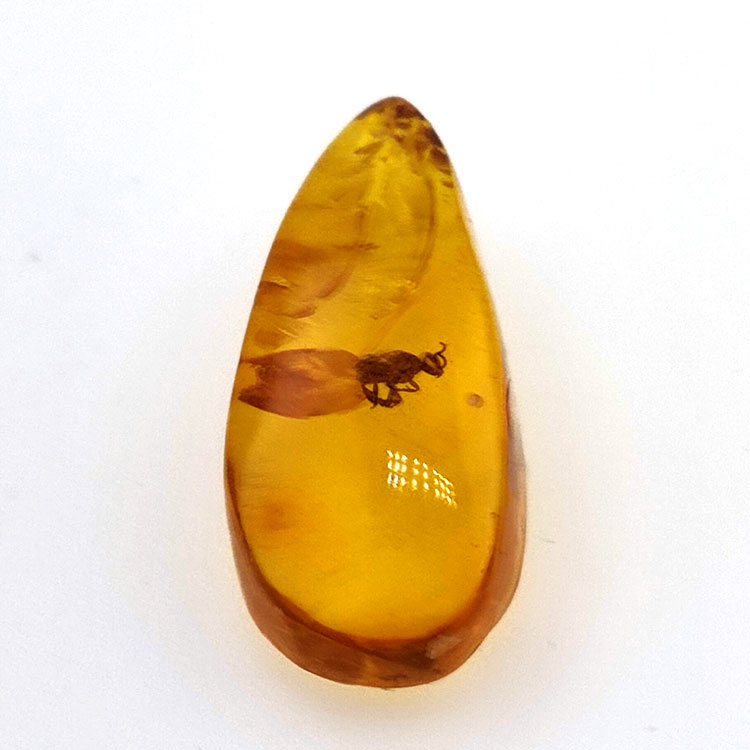 7,57 ct Amber with cabochon insect 26,41 x 11,44 x 8,34 mm