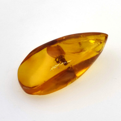 7,57 ct Amber with cabochon insect 26,41 x 11,44 x 8,34 mm