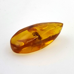 7,57 ct Amber with cabochon insect 26,41 x 11,44 x 8,34 mm