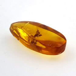 7,57 ct Ámbar con insecto cabujón 26,41 x 11,44 x 8,34 mm