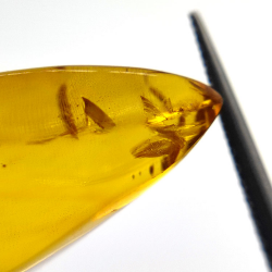 7,57 ct Amber with cabochon insect 26,41 x 11,44 x 8,34 mm
