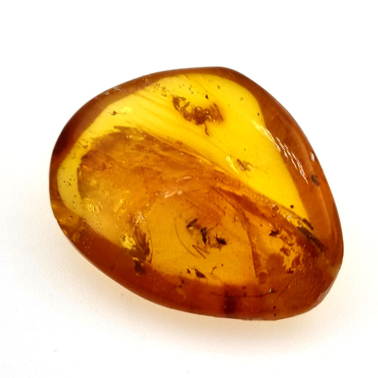 9,26 ct Ambre avec insecte cabochon 24,29 x 18,82 x 7,86 mm
