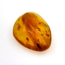 9,26 ct Bernstein mit Cabochon Insekt 24,29 x 18,82 x 7,86 mm
