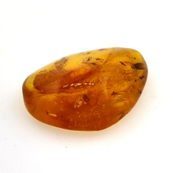 9,26 ct Ambra con insetto cabochon 24,29 x 18,82 x 7,86 mm