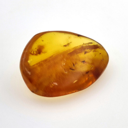 9,26 ct Amber with cabochon insect 24,29 x 18,82 x 7,86 mm