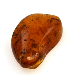 6,22 ct Ambre avec insecte cabochon 22,63 x 14,74 x 6,06 mm