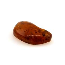 6,22 ct Amber with cabochon insect 22,63 x 14,74 x 6,06 mm