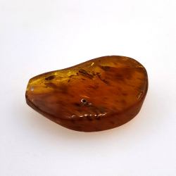 6,22 ct Amber with cabochon insect 22,63 x 14,74 x 6,06 mm