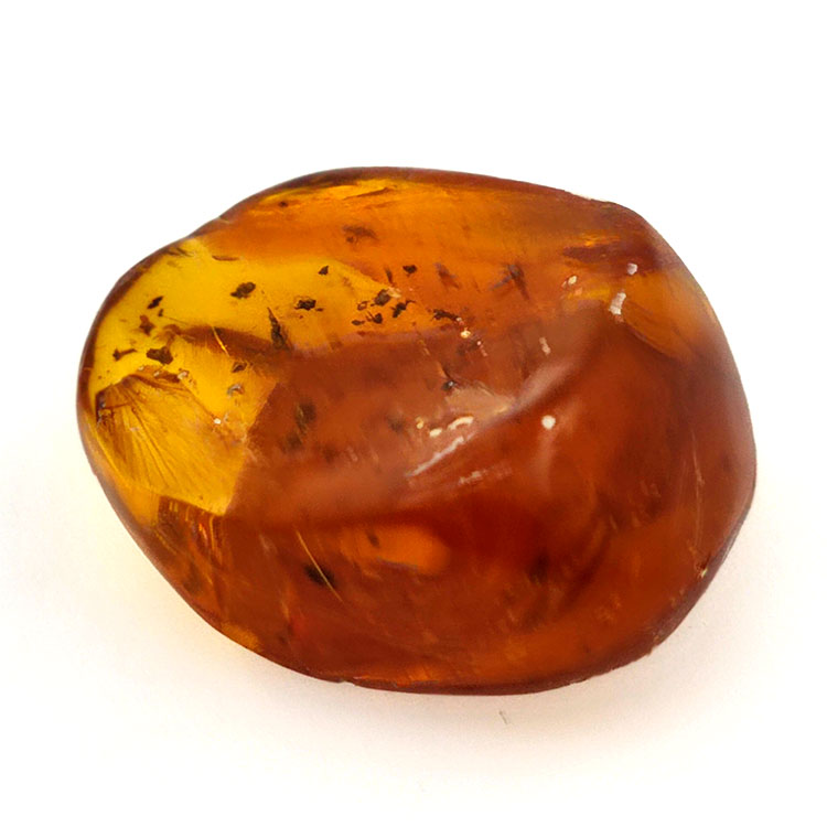 15,96 ct Ámbar con insecto cabujón 25,70 x 20,26 x 9,77 mm