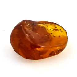 15,96 ct Amber with cabochon insect 25,70 x 20,26 x 9,77 mm