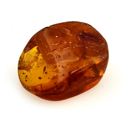 15,96 ct Bernstein mit Cabochon Insekt 25,70 x 20,26 x 9,77 mm