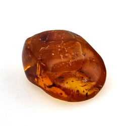 15,96 ct Amber with cabochon insect 25,70 x 20,26 x 9,77 mm