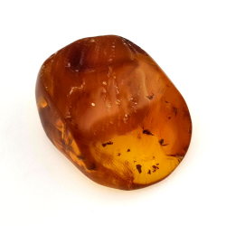 15,96 ct Ambra con insetto cabochon 25,70 x 20,26 x 9,77 mm