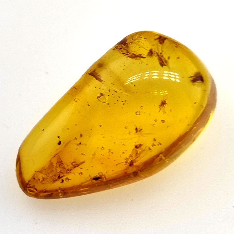 9,75 ct Ambra con insetto cabochon 24,47 x 13,19 x 9,71 mm