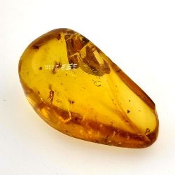 9,75 ct Amber with cabochon insect 24,47 x 13,19 x 9,71 mm